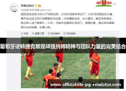 葡萄牙逆转捷克展现顽强拼搏精神与团队力量的完美结合