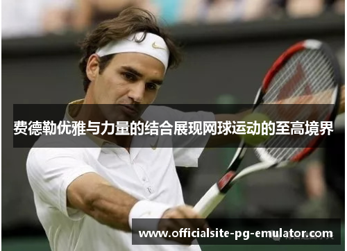 费德勒优雅与力量的结合展现网球运动的至高境界