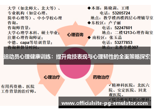运动员心理健康训练：提升竞技表现与心理韧性的全面策略探索