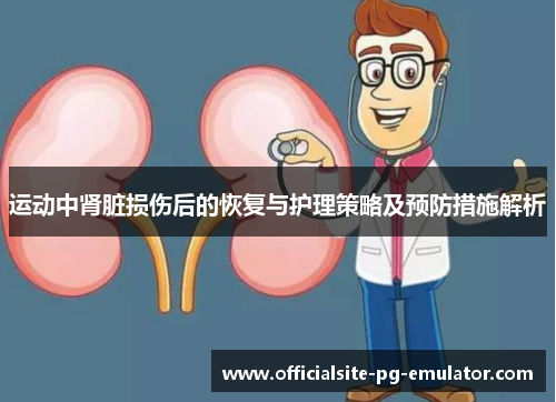 运动中肾脏损伤后的恢复与护理策略及预防措施解析